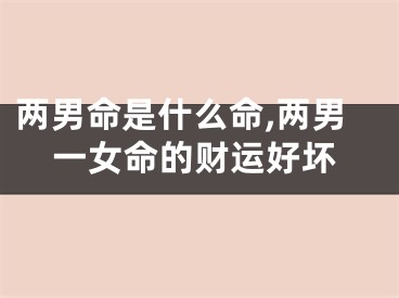 两男命是什么命,两男一女命的财运好坏