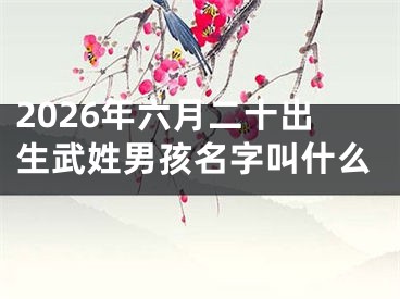2026年六月二十出生武姓男孩名字叫什么