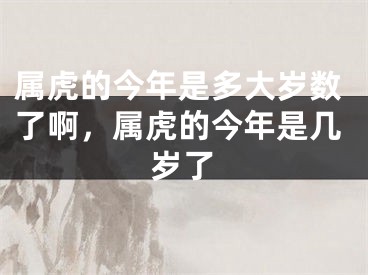 属虎的今年是多大岁数了啊，属虎的今年是几岁了