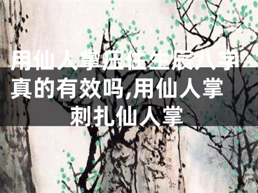 用仙人掌压住生辰八字真的有效吗,用仙人掌刺扎仙人掌