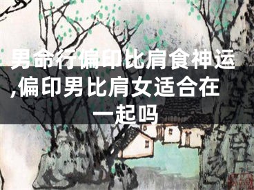 男命行偏印比肩食神运,偏印男比肩女适合在一起吗