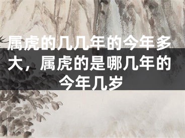 属虎的几几年的今年多大，属虎的是哪几年的今年几岁