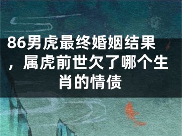 86男虎最终婚姻结果，属虎前世欠了哪个生肖的情债
