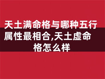 天土满命格与哪种五行属性最相合,天土虚命格怎么样