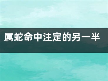 属蛇命中注定的另一半