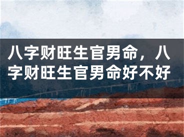 八字财旺生官男命，八字财旺生官男命好不好
