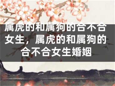 属虎的和属狗的合不合女生，属虎的和属狗的合不合女生婚姻
