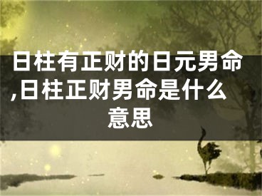 日柱有正财的日元男命,日柱正财男命是什么意思