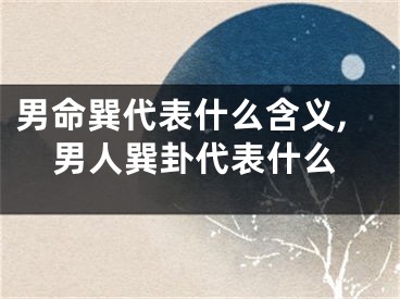 男命巽代表什么含义,男人巽卦代表什么