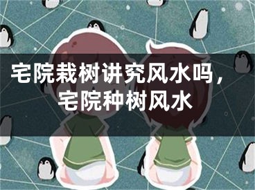 宅院栽树讲究风水吗，宅院种树风水
