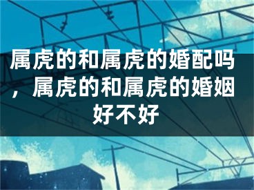 属虎的和属虎的婚配吗，属虎的和属虎的婚姻好不好