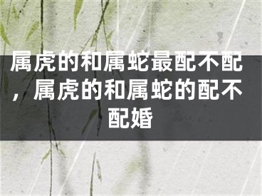 属虎的和属蛇最配不配，属虎的和属蛇的配不配婚