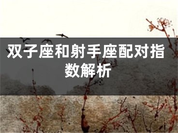 双子座和射手座配对指数解析