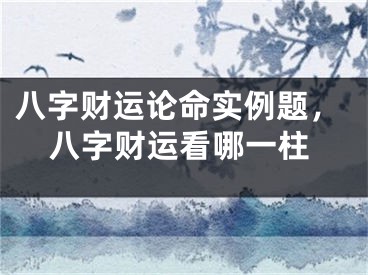 八字财运论命实例题，八字财运看哪一柱