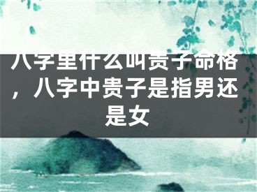 八字里什么叫贵子命格，八字中贵子是指男还是女