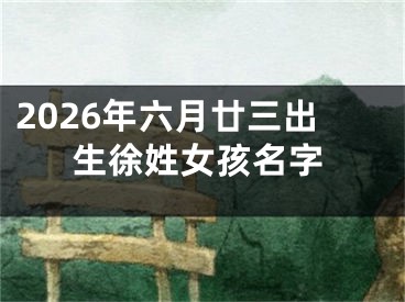 2026年六月廿三出生徐姓女孩名字