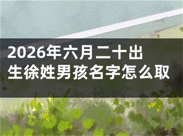 2026年六月二十出生徐姓男孩名字怎么取
