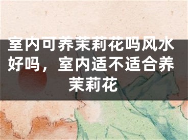 室内可养茉莉花吗风水好吗，室内适不适合养茉莉花
