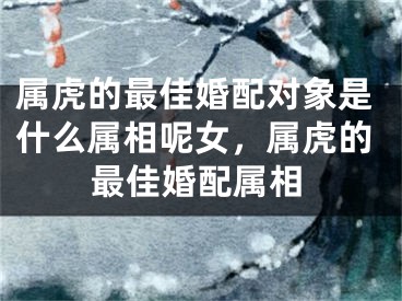属虎的最佳婚配对象是什么属相呢女，属虎的最佳婚配属相