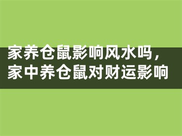 家养仓鼠影响风水吗，家中养仓鼠对财运影响