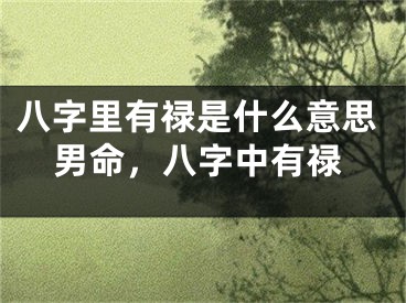 八字里有禄是什么意思男命，八字中有禄