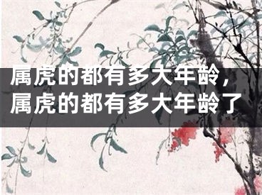 属虎的都有多大年龄，属虎的都有多大年龄了