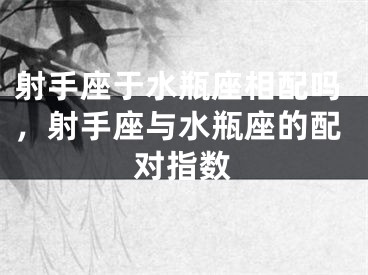 射手座于水瓶座相配吗，射手座与水瓶座的配对指数