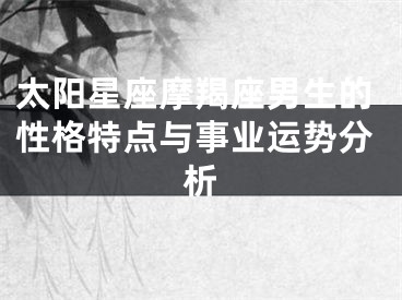 太阳星座摩羯座男生的性格特点与事业运势分析