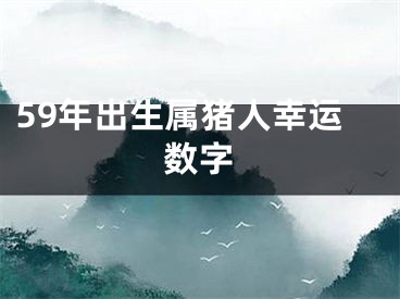 59年出生属猪人幸运数字