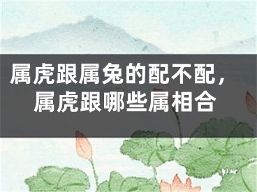属虎跟属兔的配不配,属虎跟哪些属相合