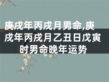 庚戌年丙戌月男命,庚戌年丙戌月乙丑日戊寅时男命晚年运势