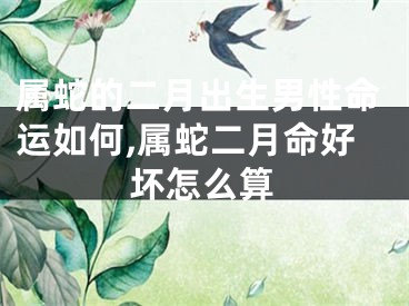 属蛇的二月出生男性命运如何,属蛇二月命好坏怎么算