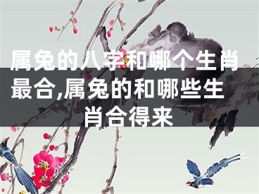 属兔的八字和哪个生肖最合,属兔的和哪些生肖合得来