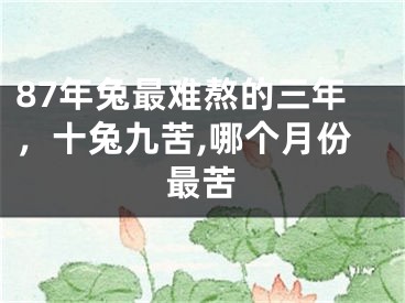 87年兔最难熬的三年，十兔九苦,哪个月份最苦
