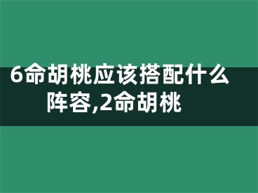 6命胡桃应该搭配什么阵容,2命胡桃