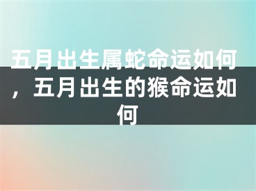 五月出生属蛇命运如何，五月出生的猴命运如何