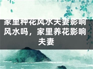 家里种花风水夫妻影响风水吗，家里养花影响夫妻
