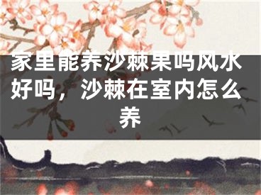 家里能养沙棘果吗风水好吗，沙棘在室内怎么养