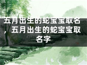 五月出生的蛇宝宝取名，五月出生的蛇宝宝取名字