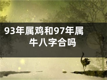 93年属鸡和97年属牛八字合吗