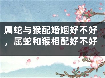 属蛇与猴配婚姻好不好，属蛇和猴相配好不好