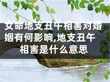 女命地支丑午相害对婚姻有何影响,地支丑午相害是什么意思