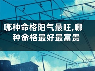 哪种命格阳气最旺,哪种命格最好最富贵