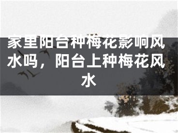 家里阳台种梅花影响风水吗，阳台上种梅花风水