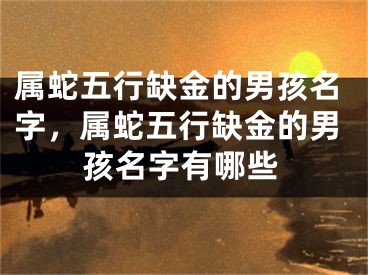 属蛇五行缺金的男孩名字，属蛇五行缺金的男孩名字有哪些