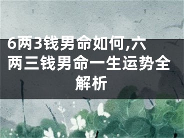 6两3钱男命如何,六两三钱男命一生运势全解析
