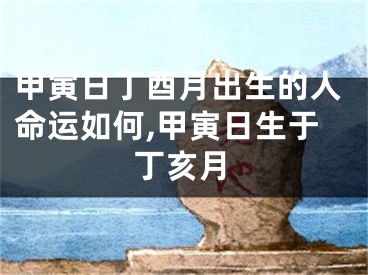 甲寅日丁酉月出生的人命运如何,甲寅日生于丁亥月