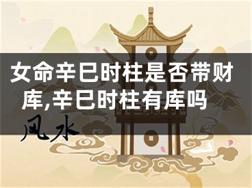 女命辛巳时柱是否带财库,辛巳时柱有库吗
