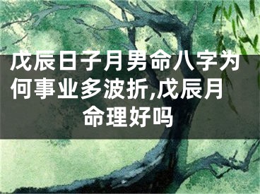 戊辰日子月男命八字为何事业多波折,戊辰月命理好吗