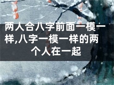 两人合八字前面一模一样,八字一模一样的两个人在一起